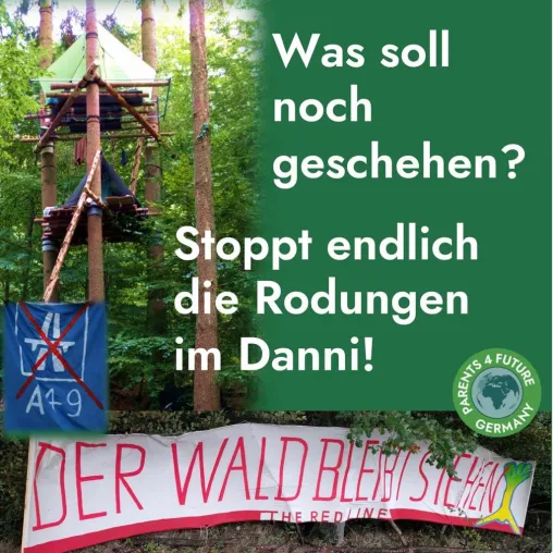Nach schweren Unfällen unsere Forderung: Rodungs- und Räumungseinsatz im Dannenröder Wald sofort stoppen! Bild: Nach schweren Unfällen unsere Forderung: Rodungs- und Räumungseinsatz im Dannenröder Wald sofort stoppen!