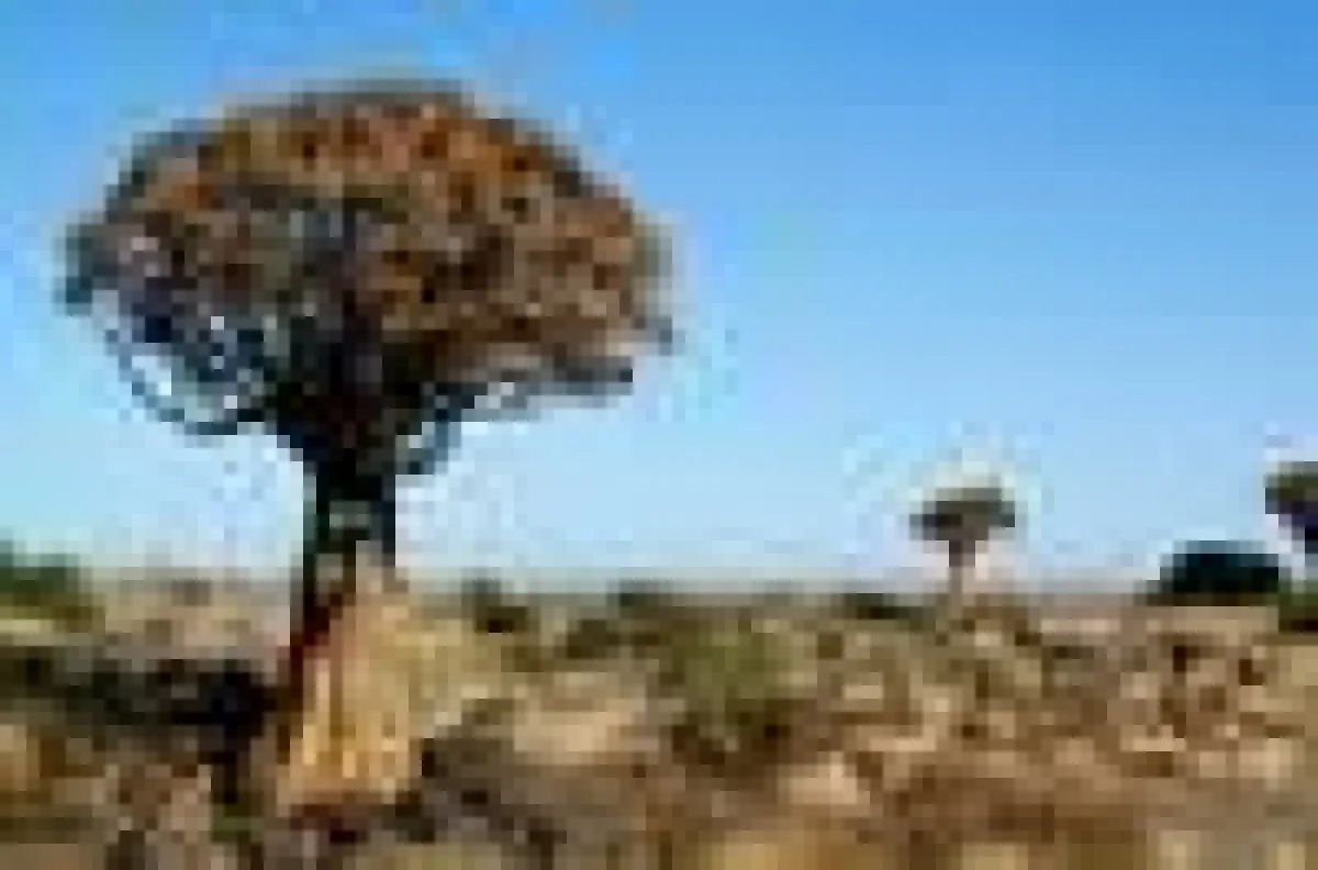 Namibia Rundreise