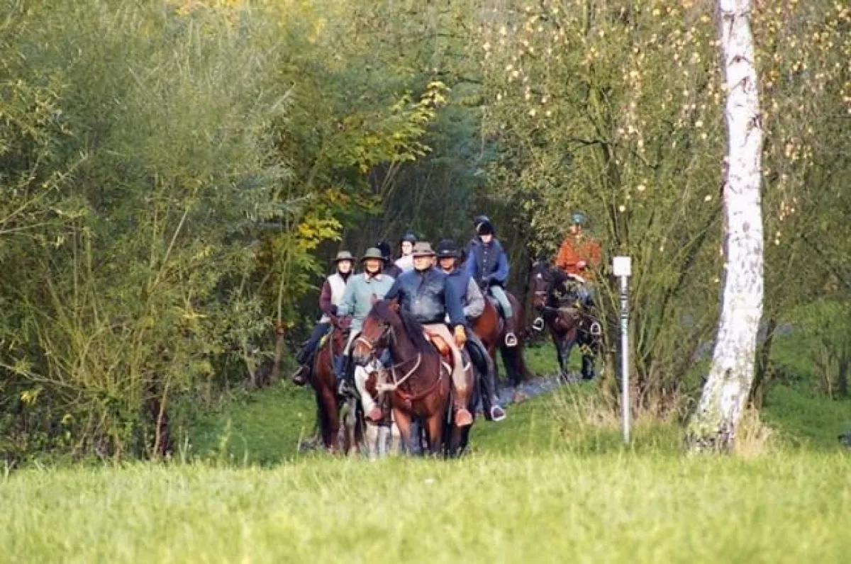 Reiten in NordHessen; Copyright: Die Glockenreiter (Bad Hersfeld)