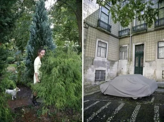 GartenTafeln und florale Strukturen - neue Fotografie von ANDREAS BOCK in der galerie carstensen Bild: GartenTafeln und florale Strukturen - neue Fotografie von ANDREAS BOCK in der galerie carstensen