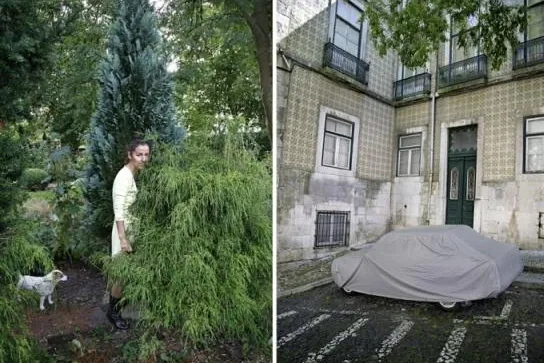 Bild: GartenTafeln und florale Strukturen - neue Fotografie von ANDREAS BOCK in der galerie carstensen