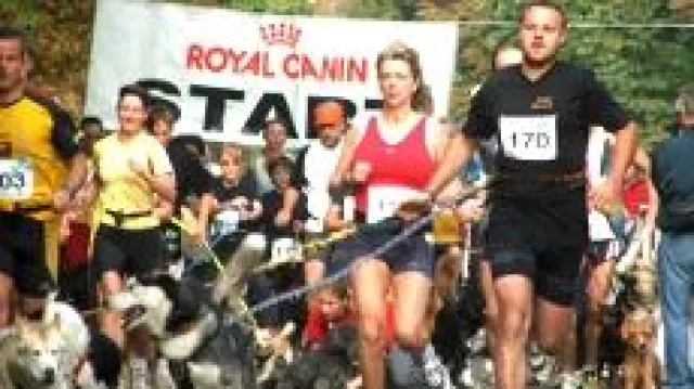 Bild: 1. Kölner Hundelauf