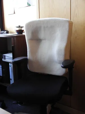 Bild: Individuell gestalteter Skoliose-Stuhl für Büroarbeitsplätze - Sitzergonomie