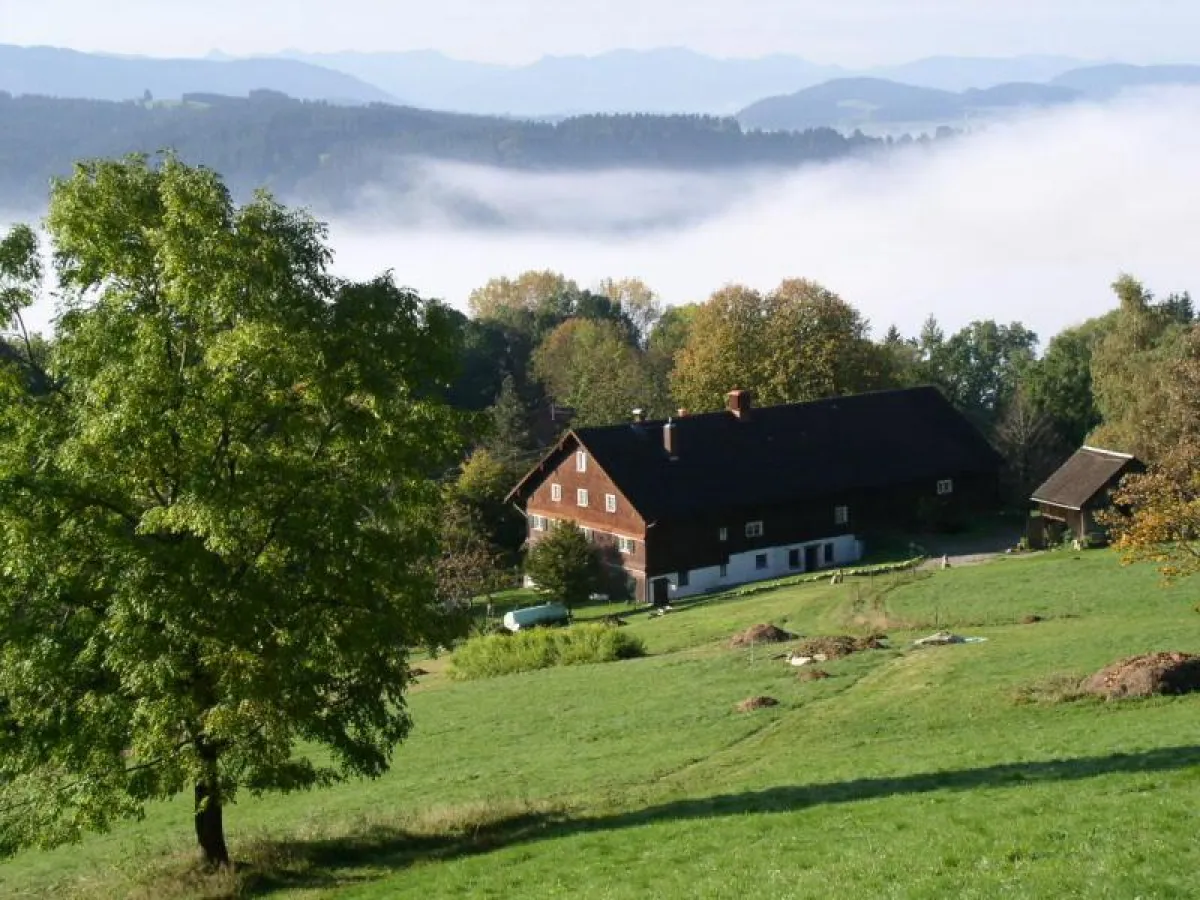 Ungewöhnliche Kunst an außergewöhnlichem Ort