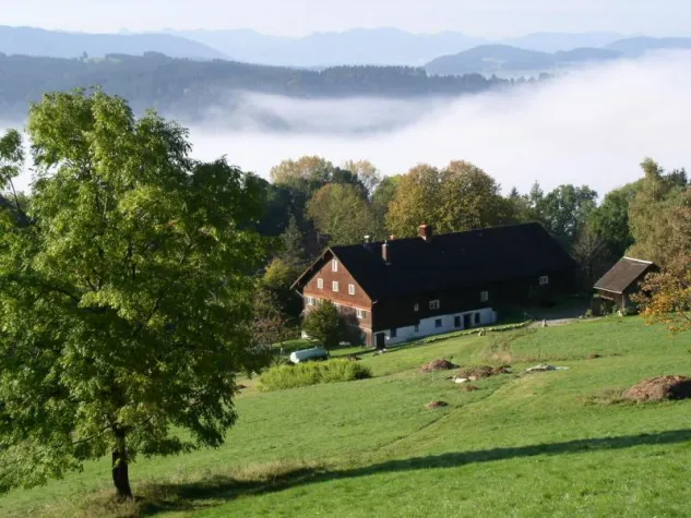 Bild: "Vielfalt Digitaler Kunst 2008" auf Westallgäuer Bergbauernhof