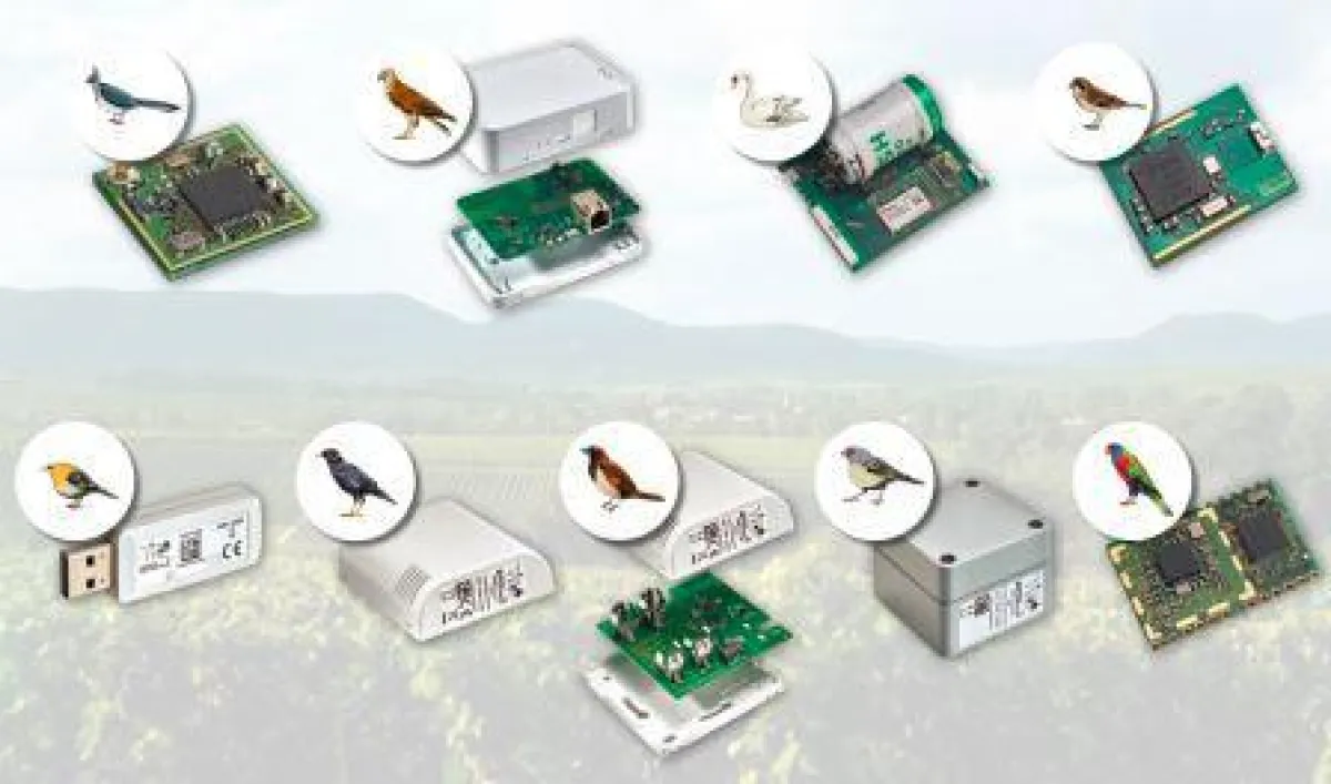WEPTECHS Funkprodukte hören auf Vogelnamen