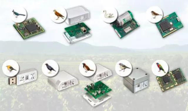 Bild: WEPTECH wird flügge