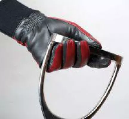 Bild: Der Winter zu Pferd wird bunt!