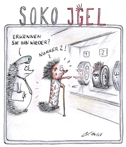 Bild: Erfolgreiche Teilnahme am Stuttgart Award 2007 - Karikatur von Peter Kreuselberg in Ausstellung zu sehen