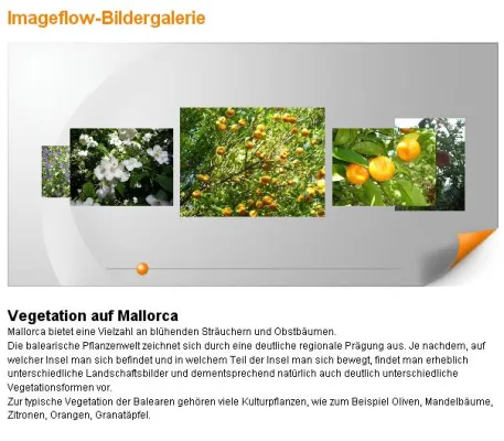 Imageflow-Bildergalerie für OpenCms - Bilder sagen mehr als tausend Worte Bild: Imageflow-Bildergalerie für OpenCms - Bilder sagen mehr als tausend Worte