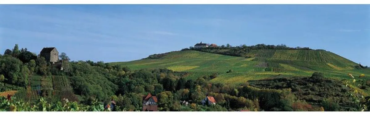 Der Cleebronner Michaelsberg, Spitzen-Lage aus der Großlage Heuchelberg