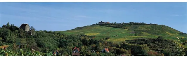 Bild: Barden trinken Württemberger