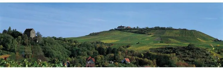 Bild: Barden trinken Württemberger