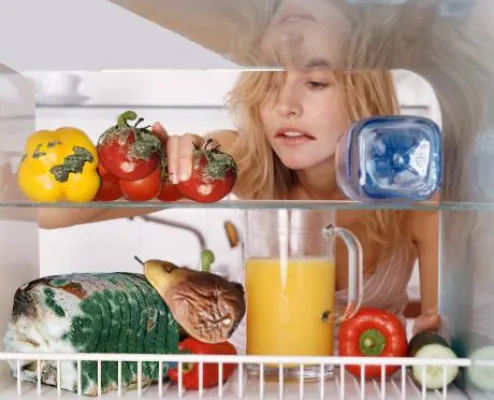 Bild: Der Kühlschrank als „Gefahrenherd“ für Krankheiten