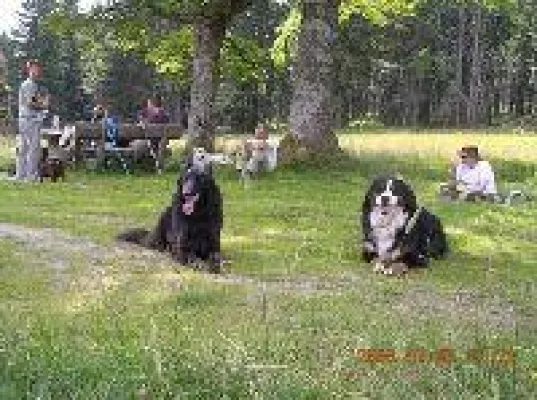 Bild: Familienurlaub in Bayern am Nationalpark Bayerischer Wald