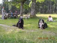 Familienurlaub in Bayern am Nationalpark Bayerischer Wald Bild: Familienurlaub in Bayern am Nationalpark Bayerischer Wald