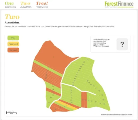 Bild: Wald kaufen im Internet: „One, two – tree“. Online Wald kaufen bei ForestFinance möglich