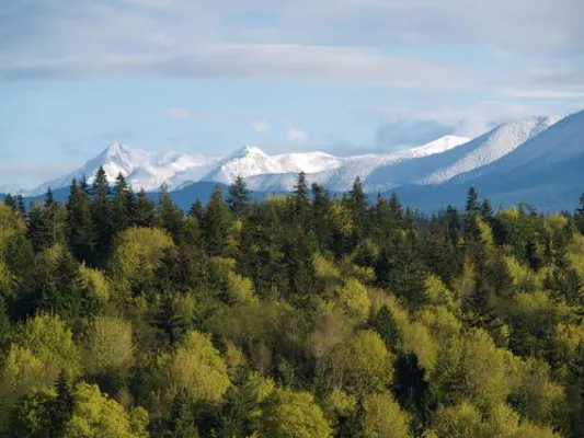 Besser geht’s nicht - Maßgeschneiderter Besuch des Olympic Nationalparks Bild: Besser geht’s nicht - Maßgeschneiderter Besuch des Olympic Nationalparks