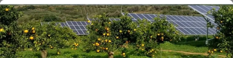 Baureife Photovoltaik Projekte in Griechenland (Peloponnes) Bild: Baureife Photovoltaik Projekte in Griechenland (Peloponnes)