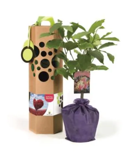 Bild: Muttertagsbaum als Muttertagsgeschenk