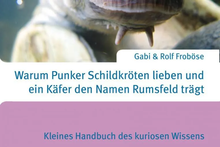 Bild: Der Coolidge-Effekt – wie ein US-Präsident zum Synonym für die 'Flaute im Bett' mutierte