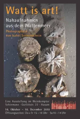 Bild: Ausstellung Watt ist art - Nahaufnahmen aus dem Wattenmeer