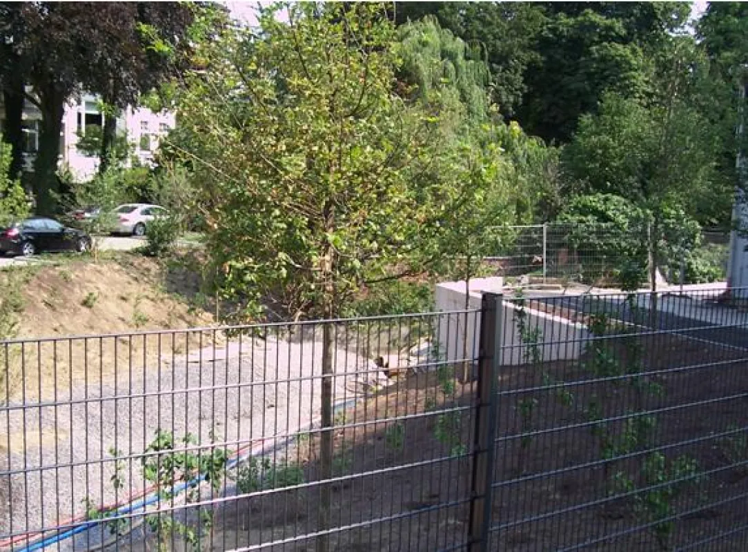 Das Bachbett der Düssel in der Entstehung
