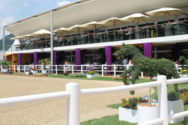 Bild: Neptunus bei Springreit-Staatsmeisterschaften im Einsatz