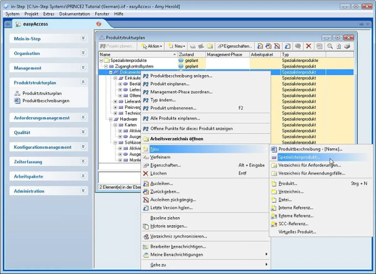 Projektmanagement nach PRINCE2 mit in-STEP BLUE