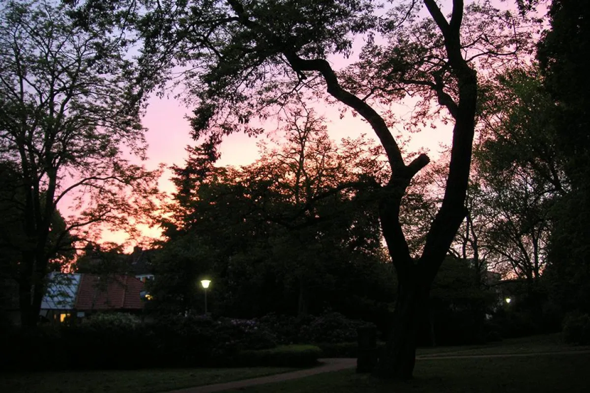 Hörster Friedhof bei Sonnenuntergang, © Martina Lückener