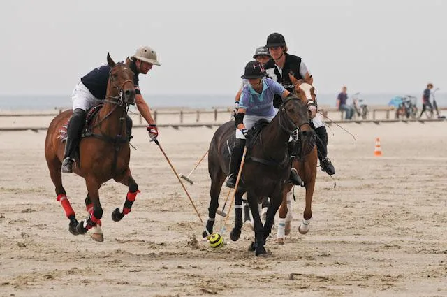Sansibar Arche Noah holt Beach Polo nach St. Peter-Ording Bild: Sansibar Arche Noah holt Beach Polo nach St. Peter-Ording