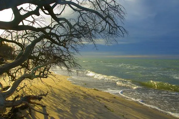 Bild: Fotografieren wo die deutsche Ostseeküste vielleicht am Schönsten ist - Ein Bericht der Fotoschule des Sehens
