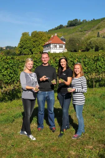 Bild: Wein der Königin macht demnächst auf Bio