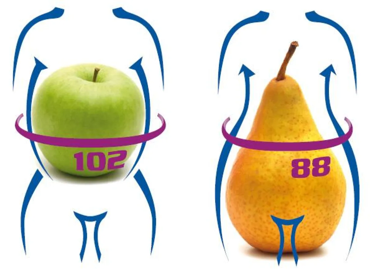 Problemzone Bauch - „Apfel- und Birnen“-Typen