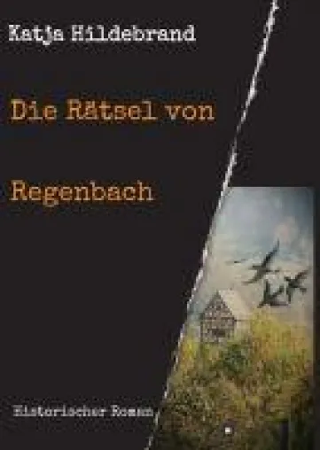 Bild: Die Rätsel von Regenbach -  ein fesselnder, historischer Roman