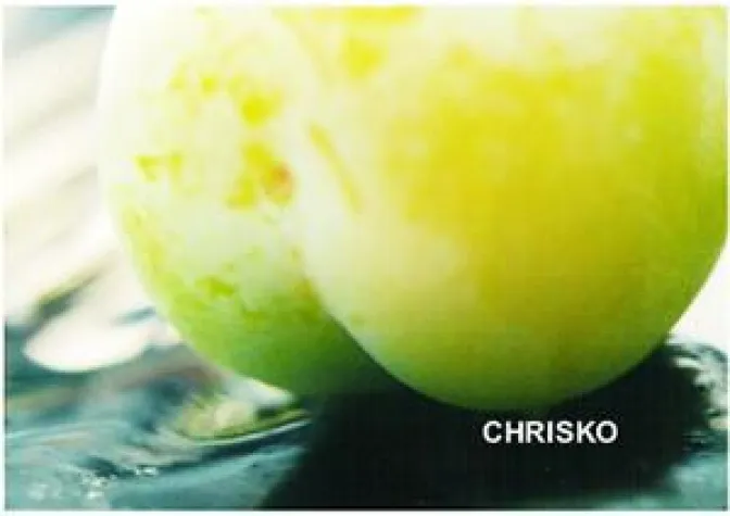 Stippvisite der erotischen Kunst im SofaLoft Hannover Bild: Stippvisite der erotischen Kunst im SofaLoft Hannover