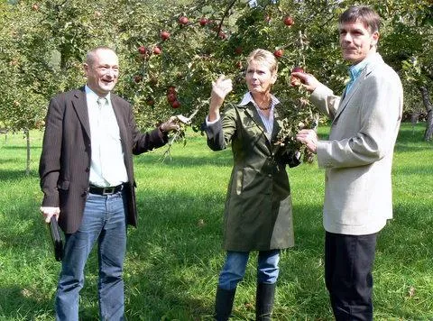 Bild: Untersuchung belegt: Streuobstwiesen im Land sind gefährdet