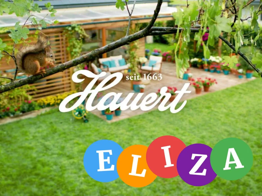 Hauert setzt bezüglich Qualität auf ELIZA