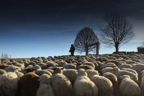 Bild: Auf ein Schäferstündchen…Interview mit dem Schäfer Ingo