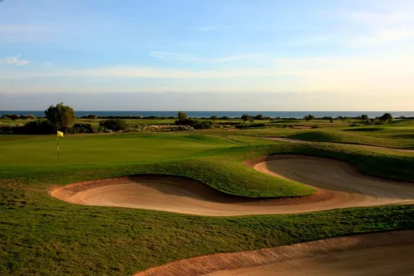 Bild: Grün, grün, grün ist selbst der Januar in Apulien