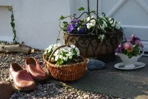 Bild: Frühlingsurlaub auf dem Bauernhof - Die besten Insider-Tipps