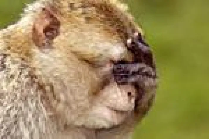 Bild: Grundlagen-Lehrgang Tierfotografie im Naturzoo Rheine