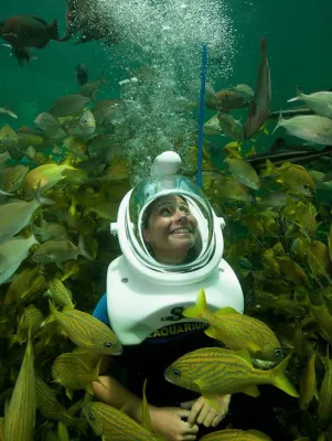 Bild: Neue Familienattraktionen in Miami: Adrenalin unter Wasser und tierische Abenteuer