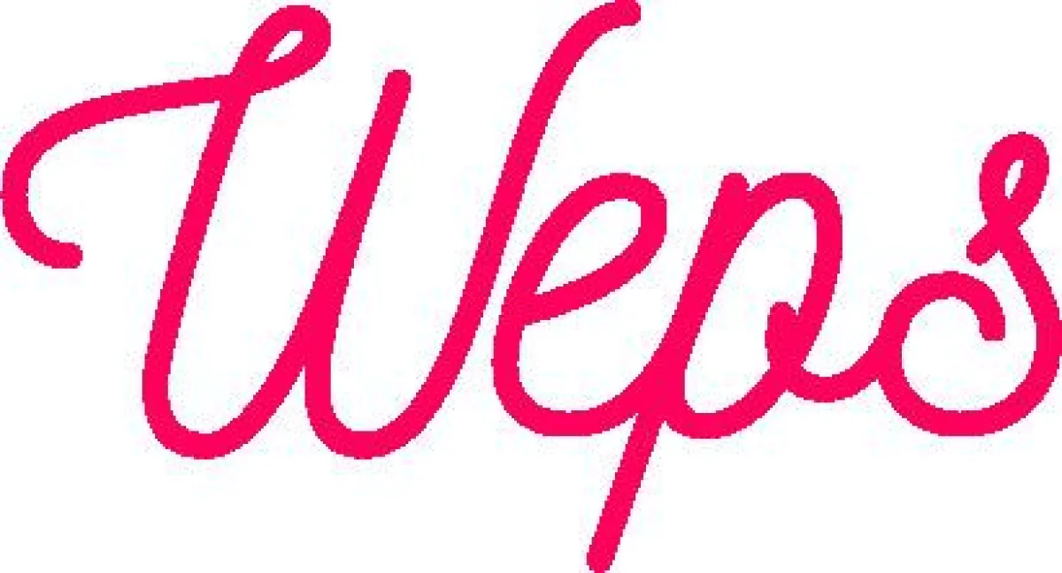 Das 2016 gegründete Unternehmen bietet einen innovativen Website- Generator