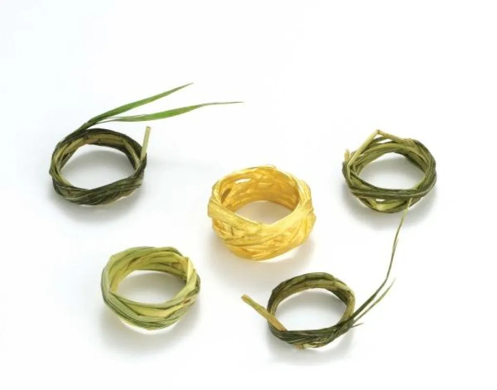 Kay Eppi Nölke: Grasringe und in Gold gegossener Grasring