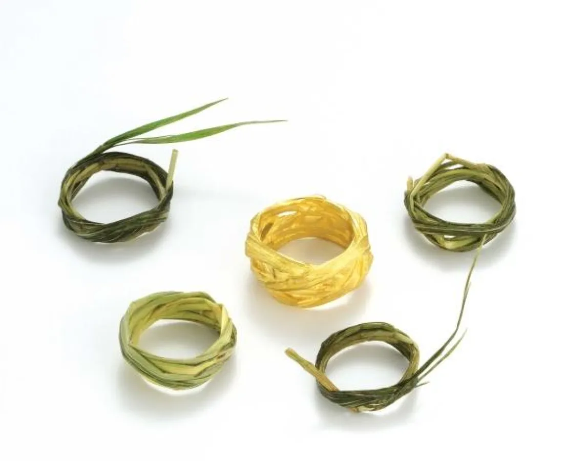 Kay Eppi Nölke: Grasringe und in Gold gegossener Grasring