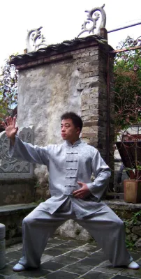 Bild: Taijiquan Workshop in Berlin, am 2. -3. April 2016 mit Li Pengcheng, Master für Taijiquan und Qigong