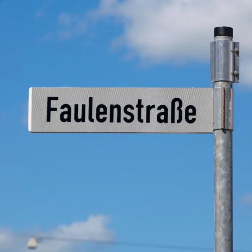 Bild: Was tun eigentlich Knochenhauer? Führungen zu Bremer Straßennamen