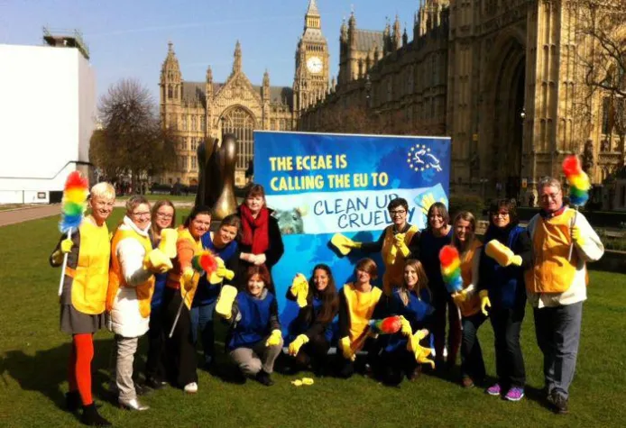 Bild: Ende der Tierversuche für Haushaltsprodukte gefordert