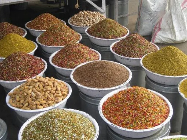 Reise zu den Wurzeln des Ayurveda Bild: Reise zu den Wurzeln des Ayurveda